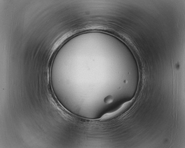 X0000116131274200912141100