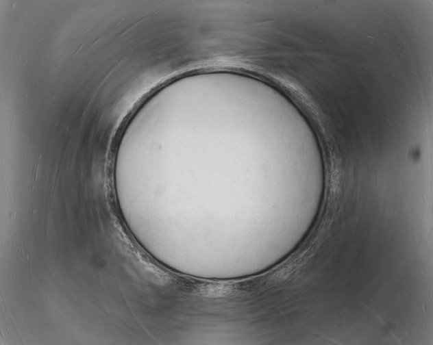 X0000116131278200912141100