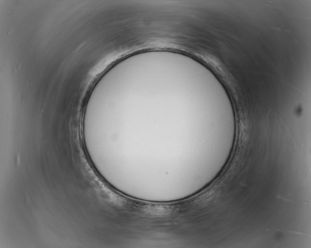 X0000116131286200912141100