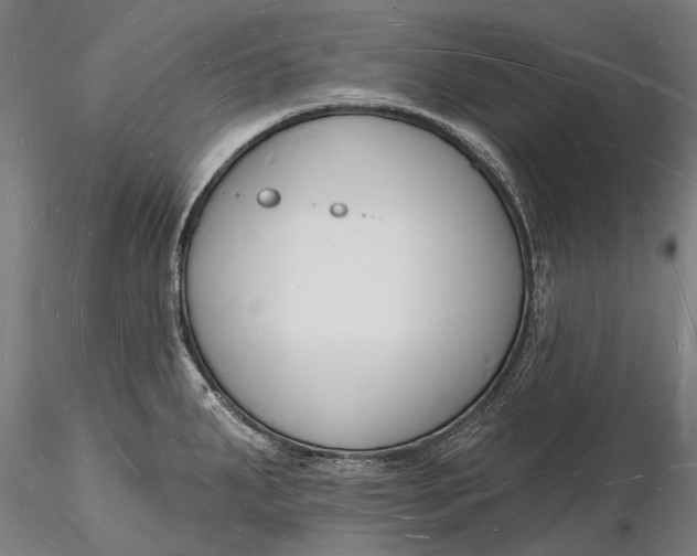 X0000116131287200912141100