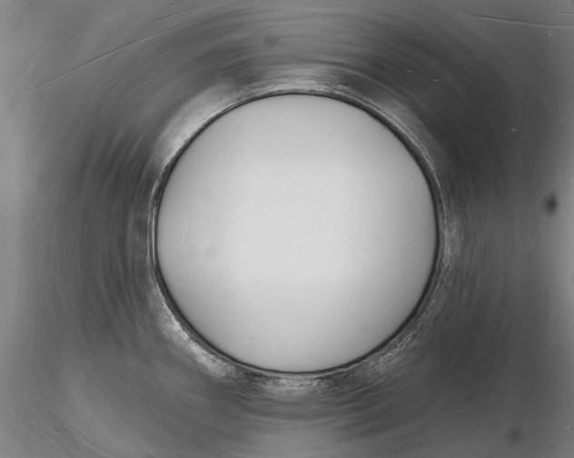 X0000116131290200912141100