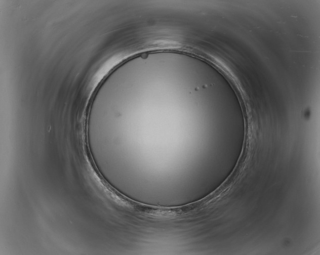 X0000116131291200912141100