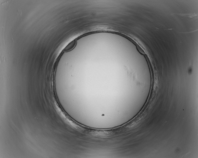 X0000116131293200912141100