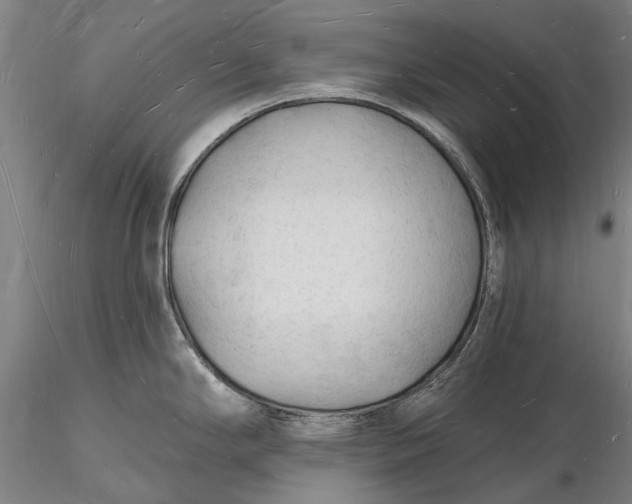 X0000116131294200912141100