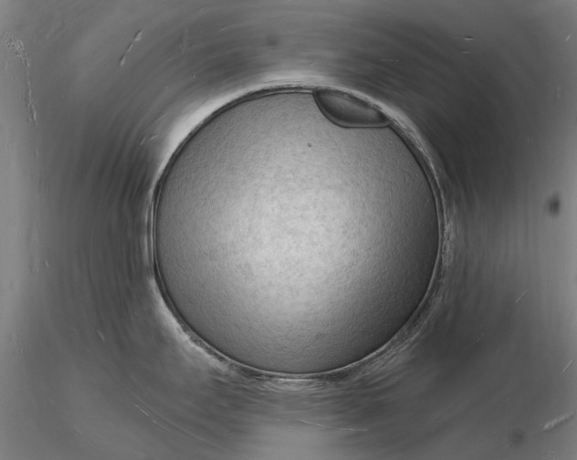 X0000116131295200912141100