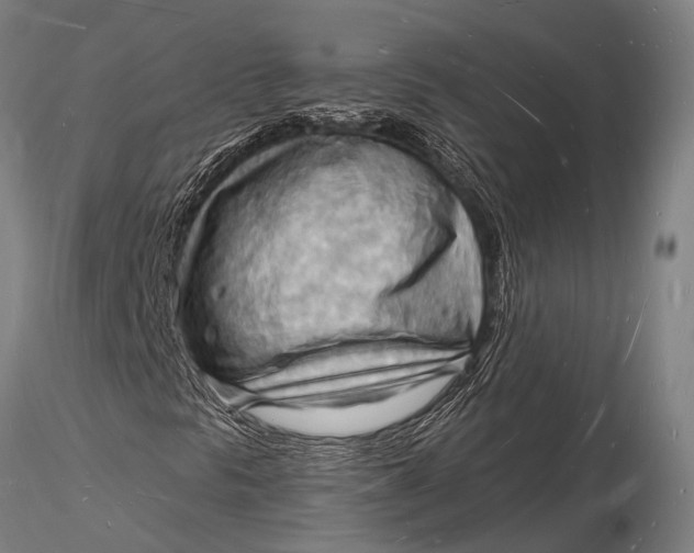 X0000116131297200912141059