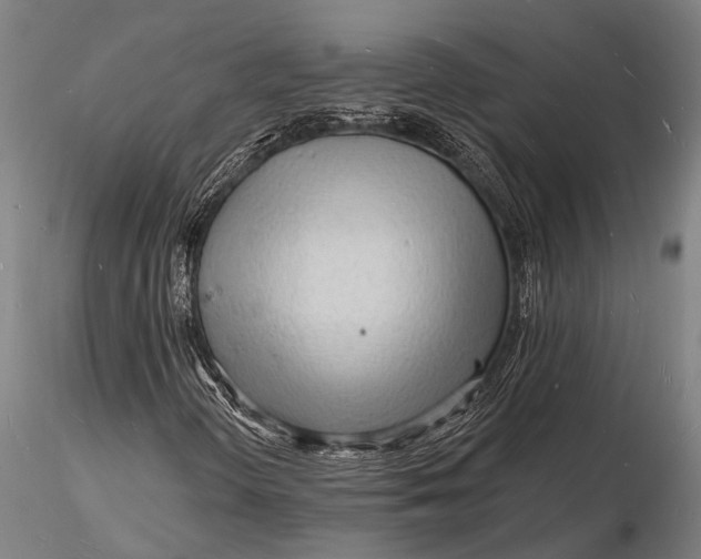 X0000116131298200912141059