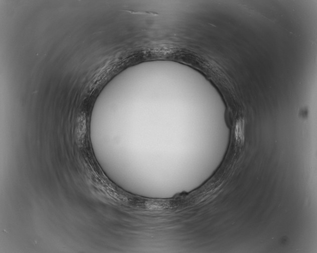 X0000116131299200912141059