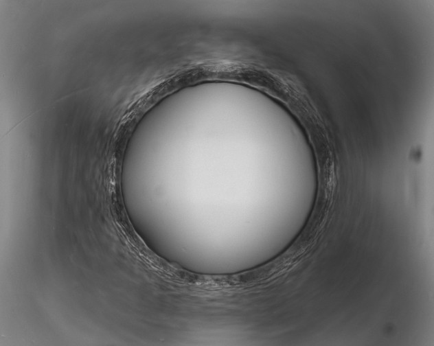 X0000116131301200912141059