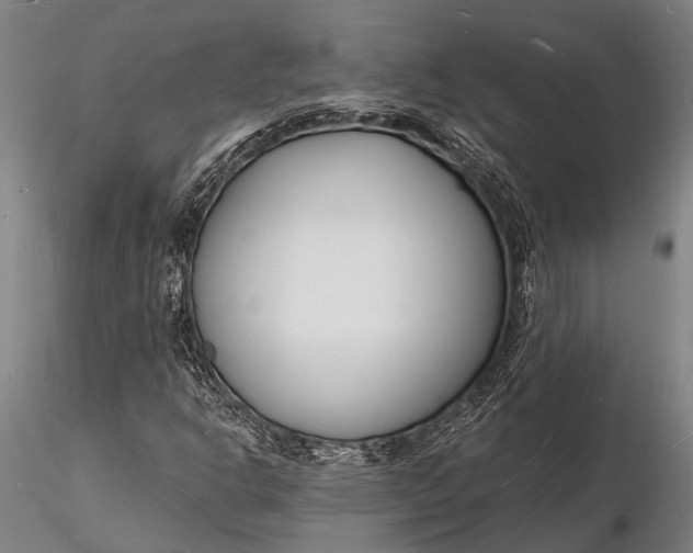 X0000116131302200912141059