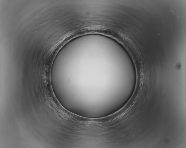 X0000116131305200912141059