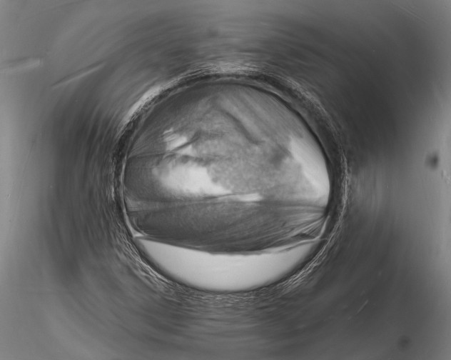 X0000116131306200912141059