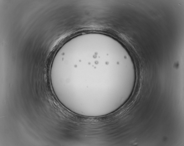 X0000116131307200912141059