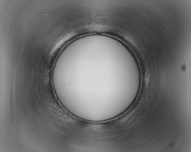 X0000116131309200912141059