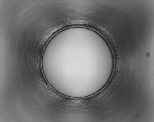 X0000116131313200912141059