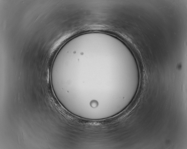 X0000116131317200912141059