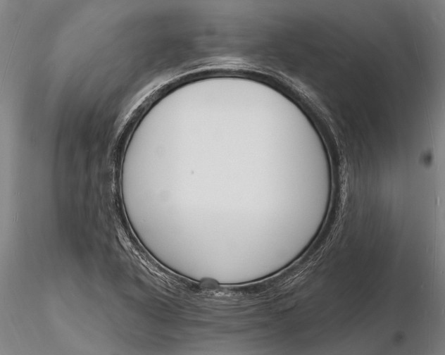X0000116131318200912141059