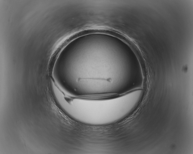 X0000116131319200912141059