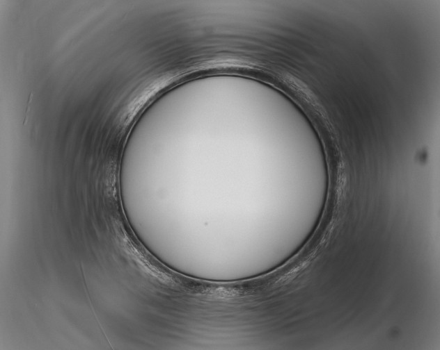 X0000116131321200912141059