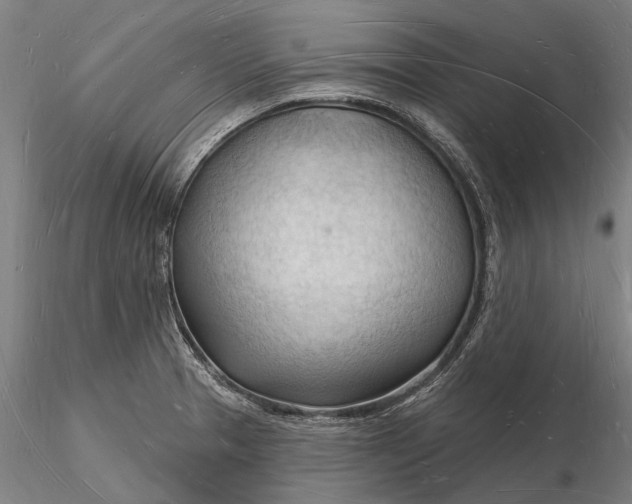 X0000116131329200912141100