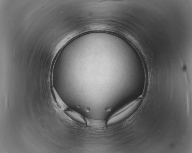 X0000116131330200912141100