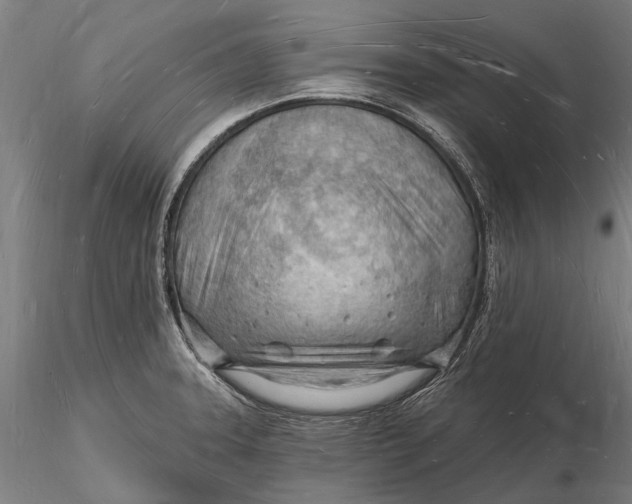 X0000116131331200912141100