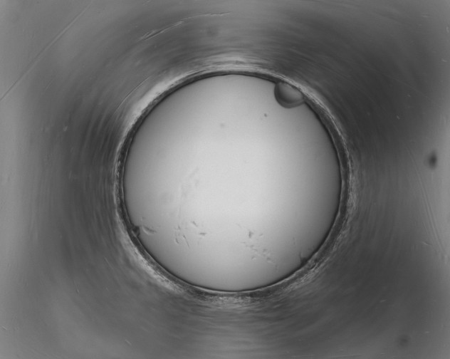 X0000116131333200912141100