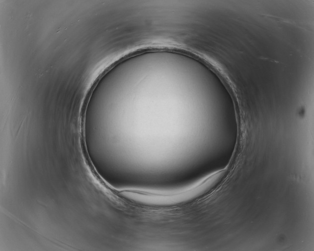 X0000116131335200912141100