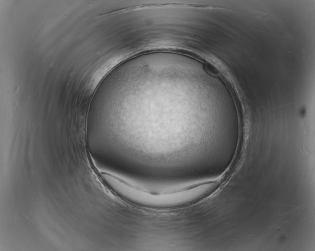 X0000116131337200912141100