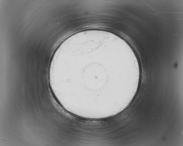 X0000116131338200912141100