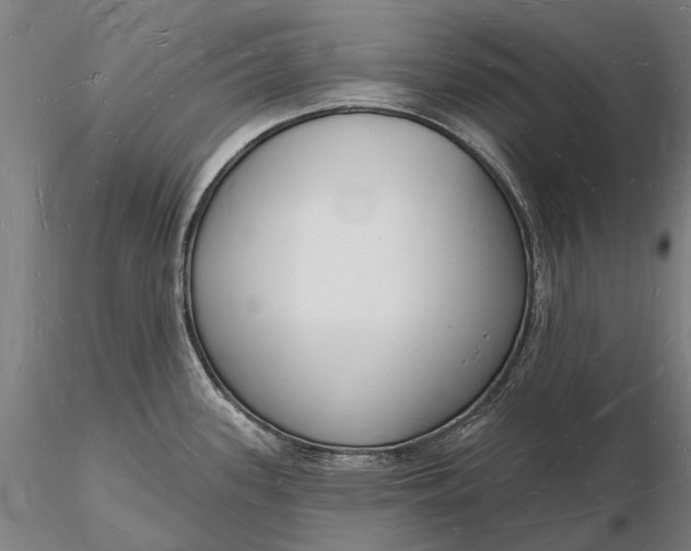 X0000116131339200912141100