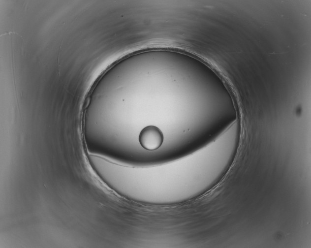 X0000116131342200912141100