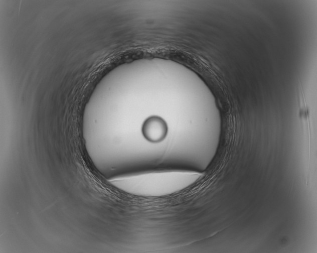 X0000116131345200912141059