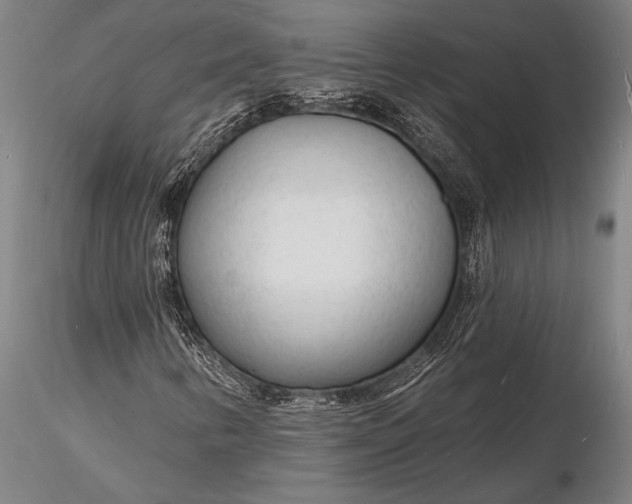 X0000116131346200912141059