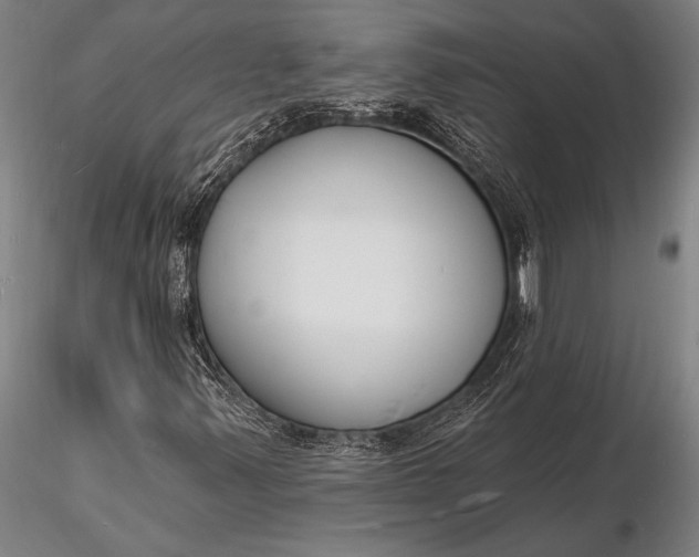 X0000116131347200912141059