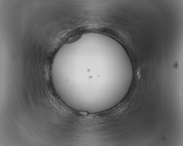 X0000116131348200912141059