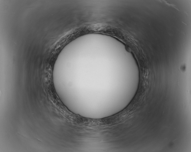 X0000116131349200912141059