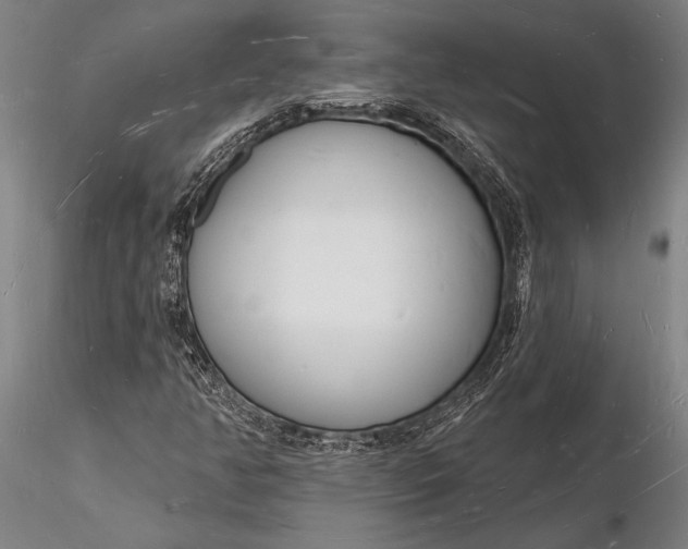X0000116131350200912141059