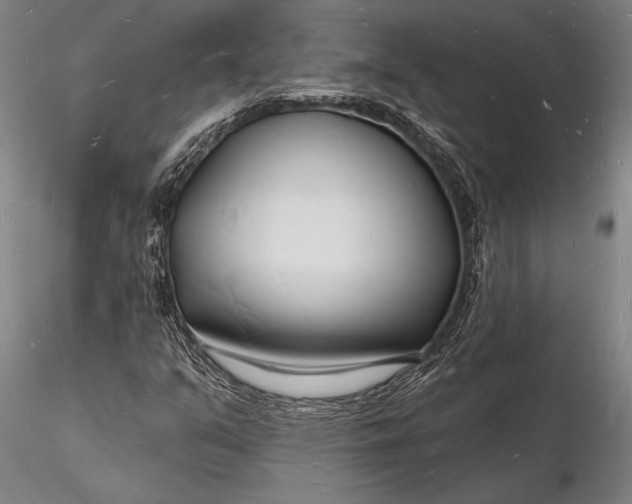 X0000116131351200912141059
