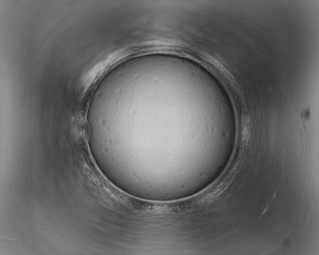 X0000116131357200912141059