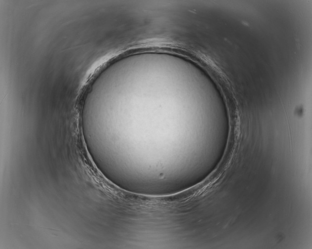 X0000116131358200912141059