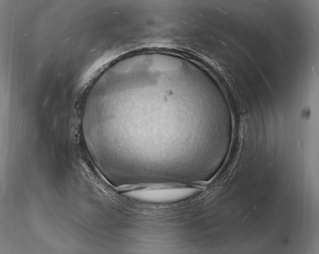 X0000116131359200912141059