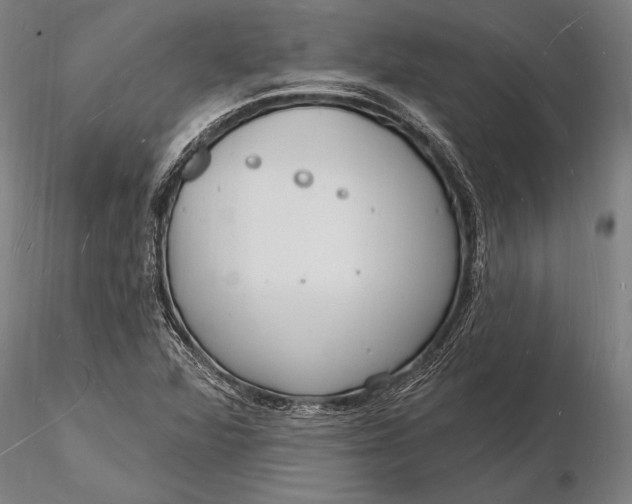 X0000116131360200912141059
