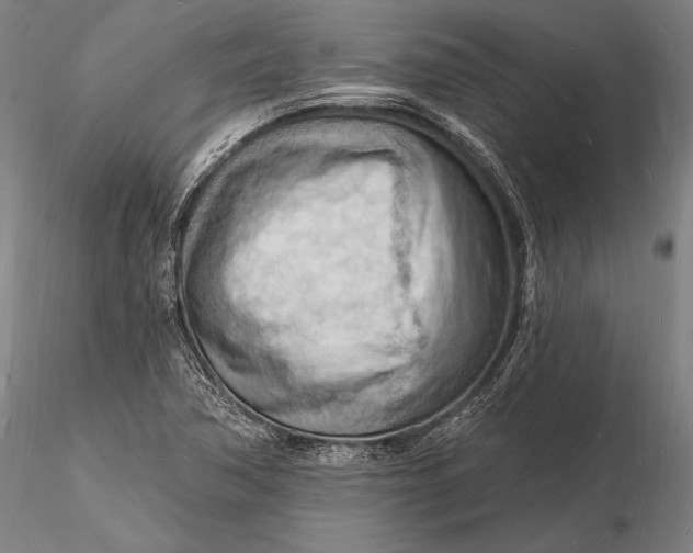 X0000116131362200912141059