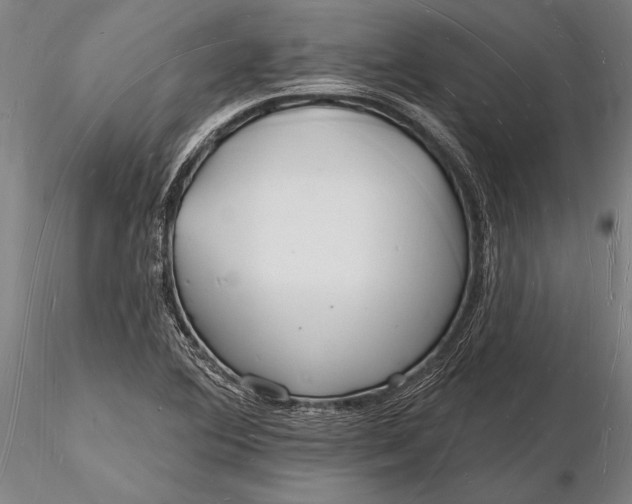 X0000116131364200912141059