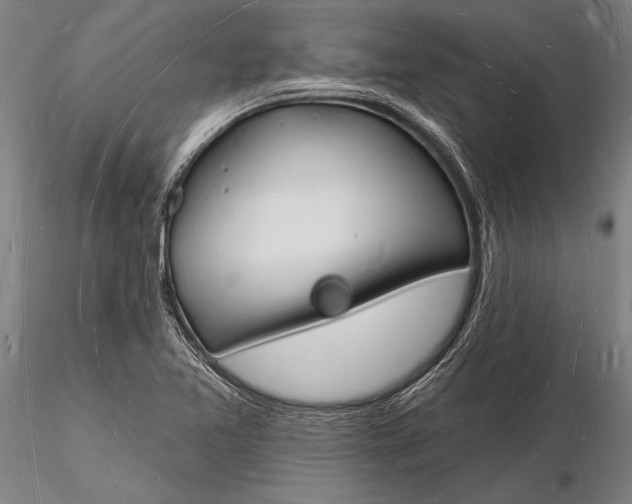 X0000116131365200912141059