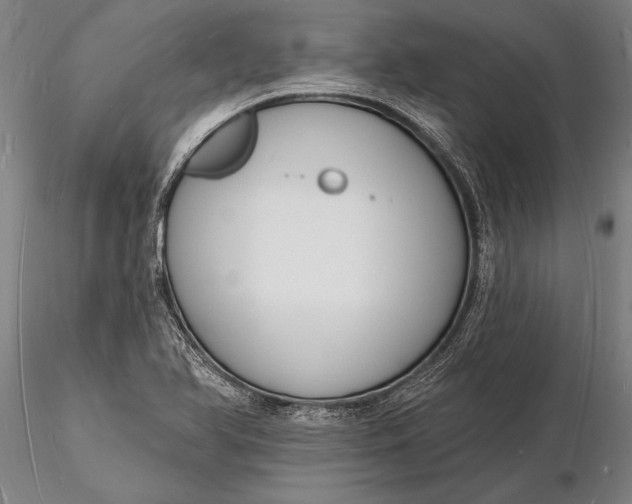 X0000116131366200912141059
