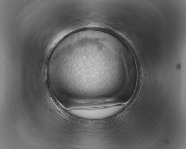 X0000116131367200912141059