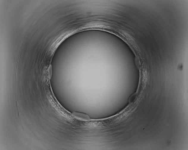 X0000116131369200912141059