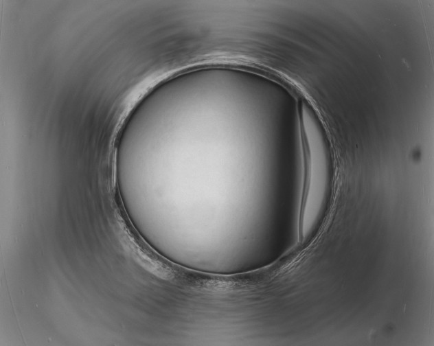 X0000116131371200912141059
